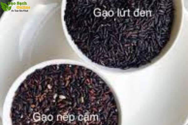 Có bao nhiêu loại gạo lứt?