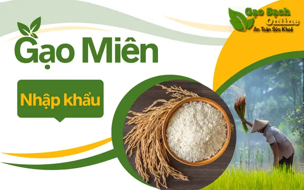 Gạo miên nhập khẩu - Sự lựa chọn hoàn hảo cho bữa cơm gia đình