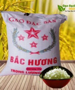 Gạo Bắc Hương đặc sản hương thơm bát ngát