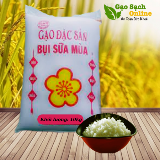 Gạo bụi sữa màu gạo đặc sản nở xốp mềm cơm