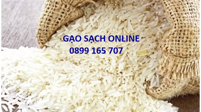 Gạo thái lan nhập khẩu