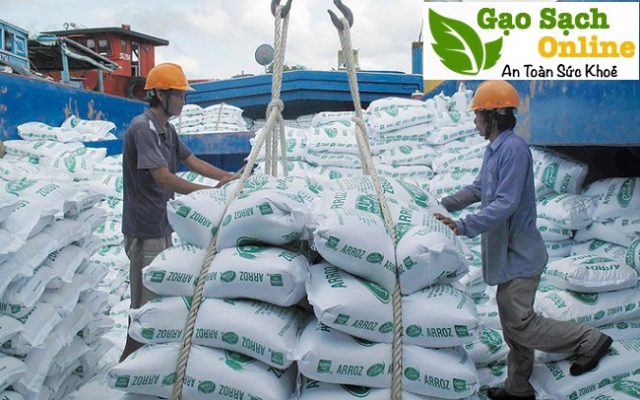 Gạo thái lan nhập khẩu mua ở đâu