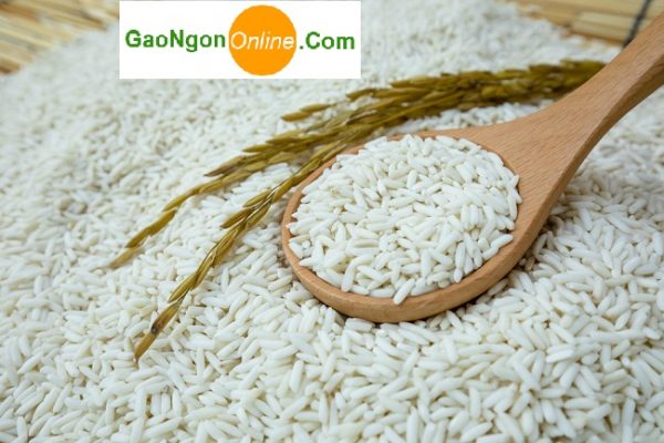 Giao gạo nếp Sáp túi 10kg ở đâu tại TPHCM