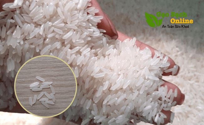 Gạo miên nhập đóng túi 10kg thơm dẻo ngọt giàu dinh dưỡng
