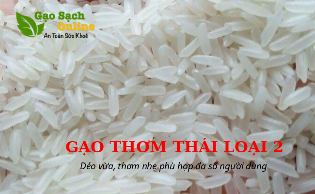 Gạo thơm thái dẻo không chỉ đáp ứng tốt nhu cầu về sở thích người tiêu dùng.